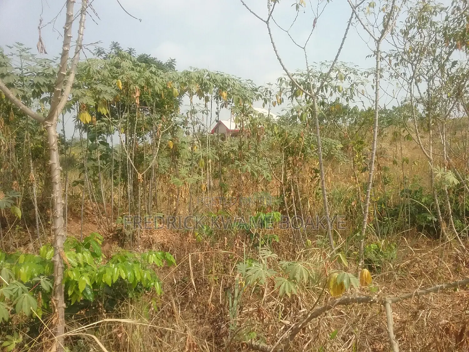Plot of Land for Sale at Abuakwa Kokoben