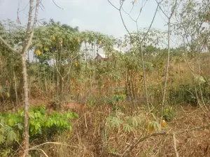 Plot of Land for Sale at Abuakwa Kokoben