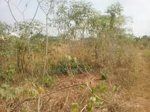 Plot of Land for Sale at Abuakwa Kokoben