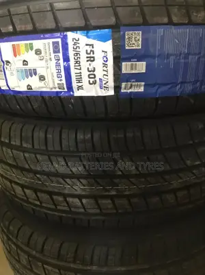 245/65r17 Fortune Tyres Tires