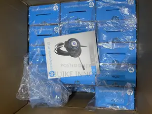 H120 Computer Headphone