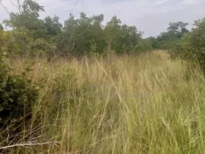 Land Available For Sale At