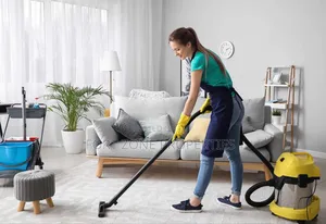 Clean House With Cleantex