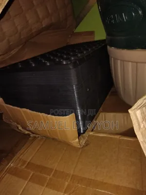 Seeding Trays