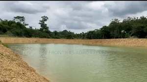 Dam, Water Pan, Reservoir and Earthen Pond