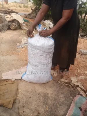 Animal Feeds