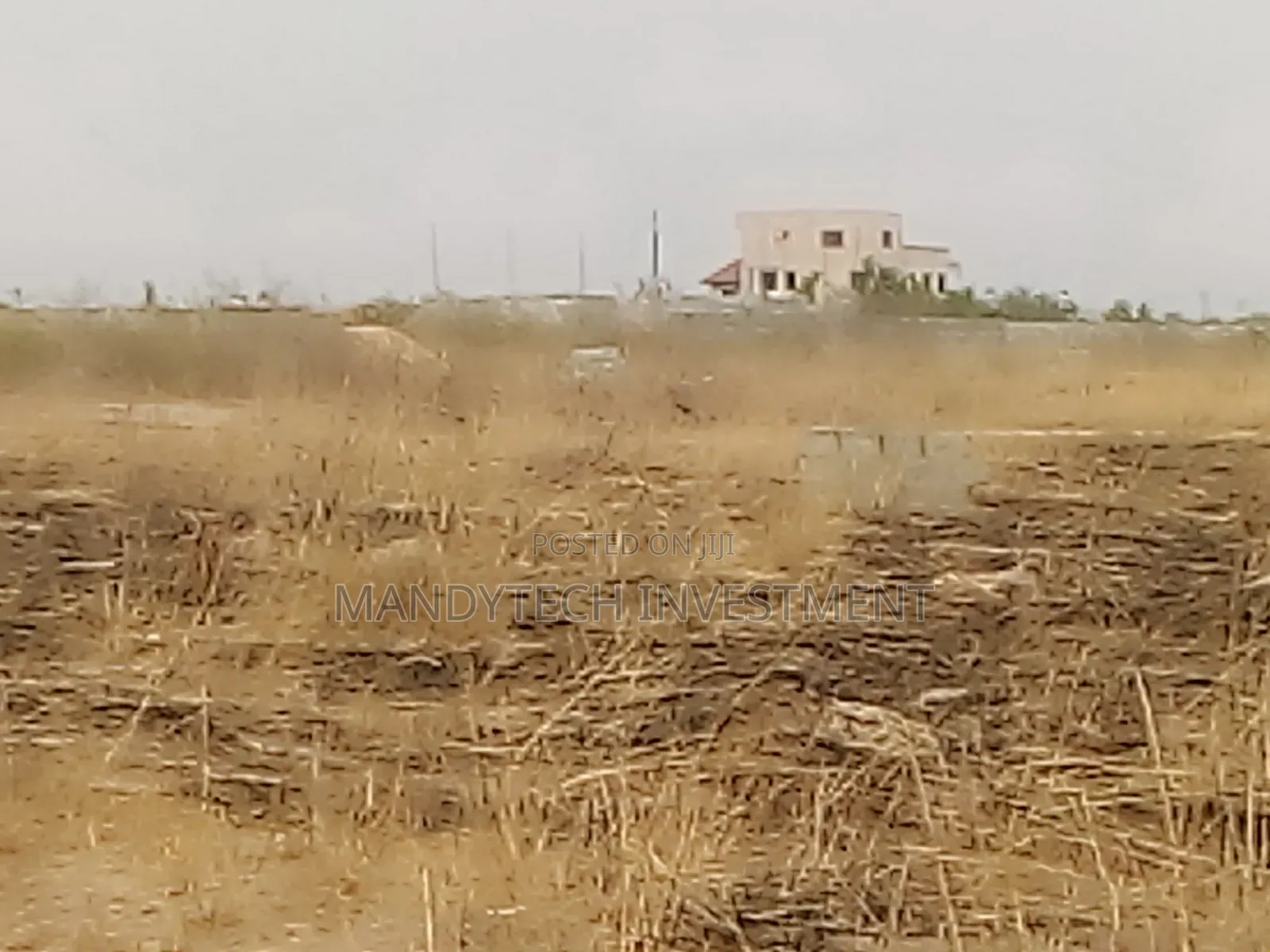 Two Plots at Appolonia