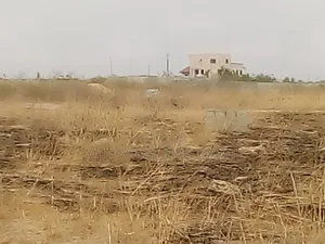 Two Plots at Appolonia