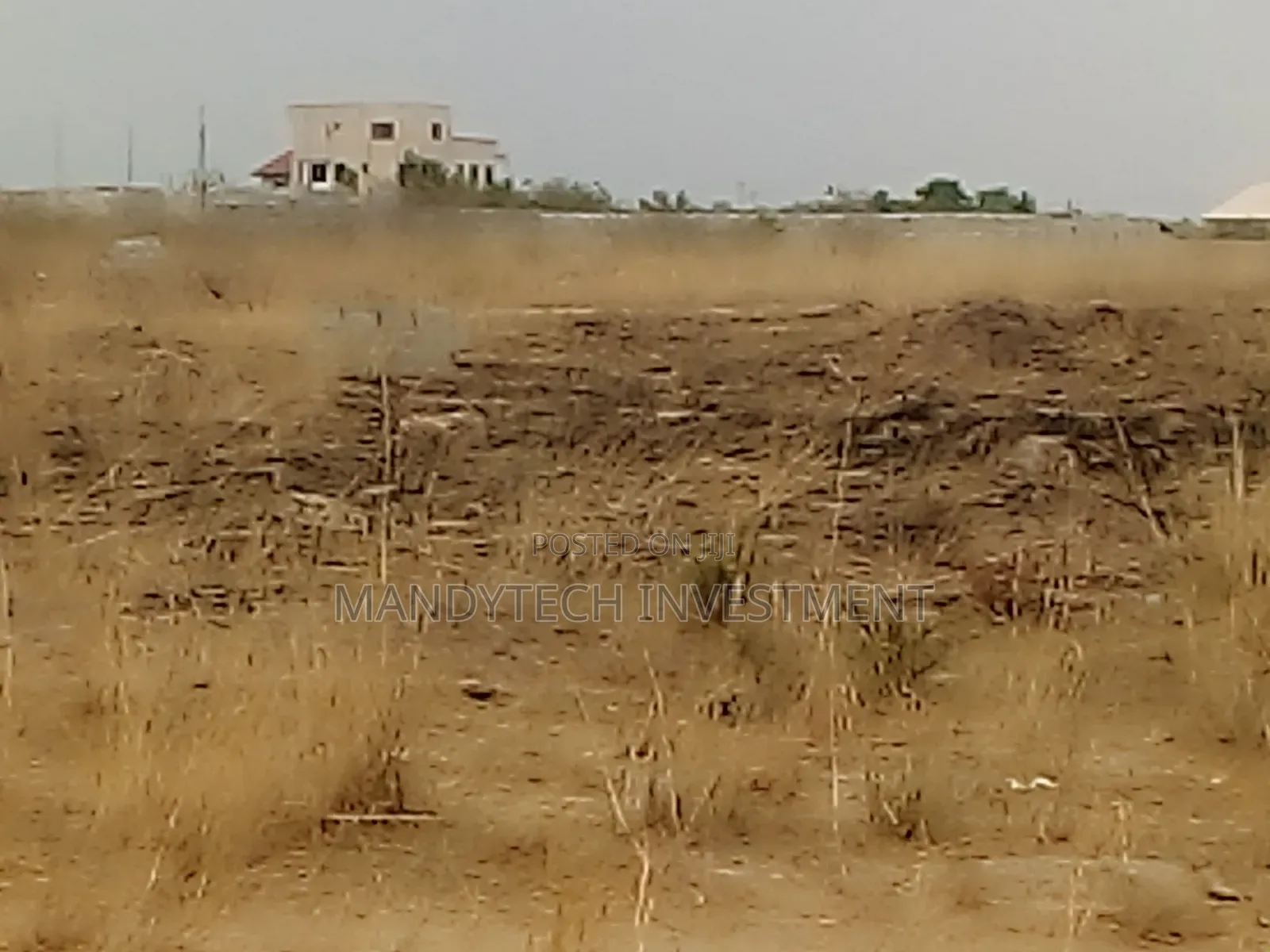 Two Plots at Appolonia