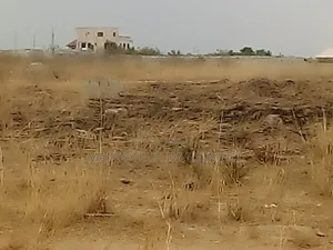 Two Plots at Appolonia