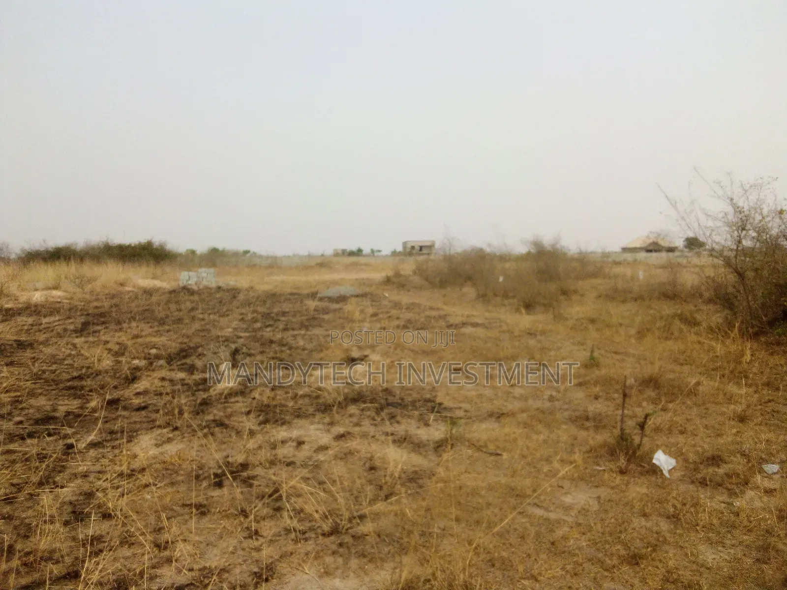 Two Plots at Appolonia