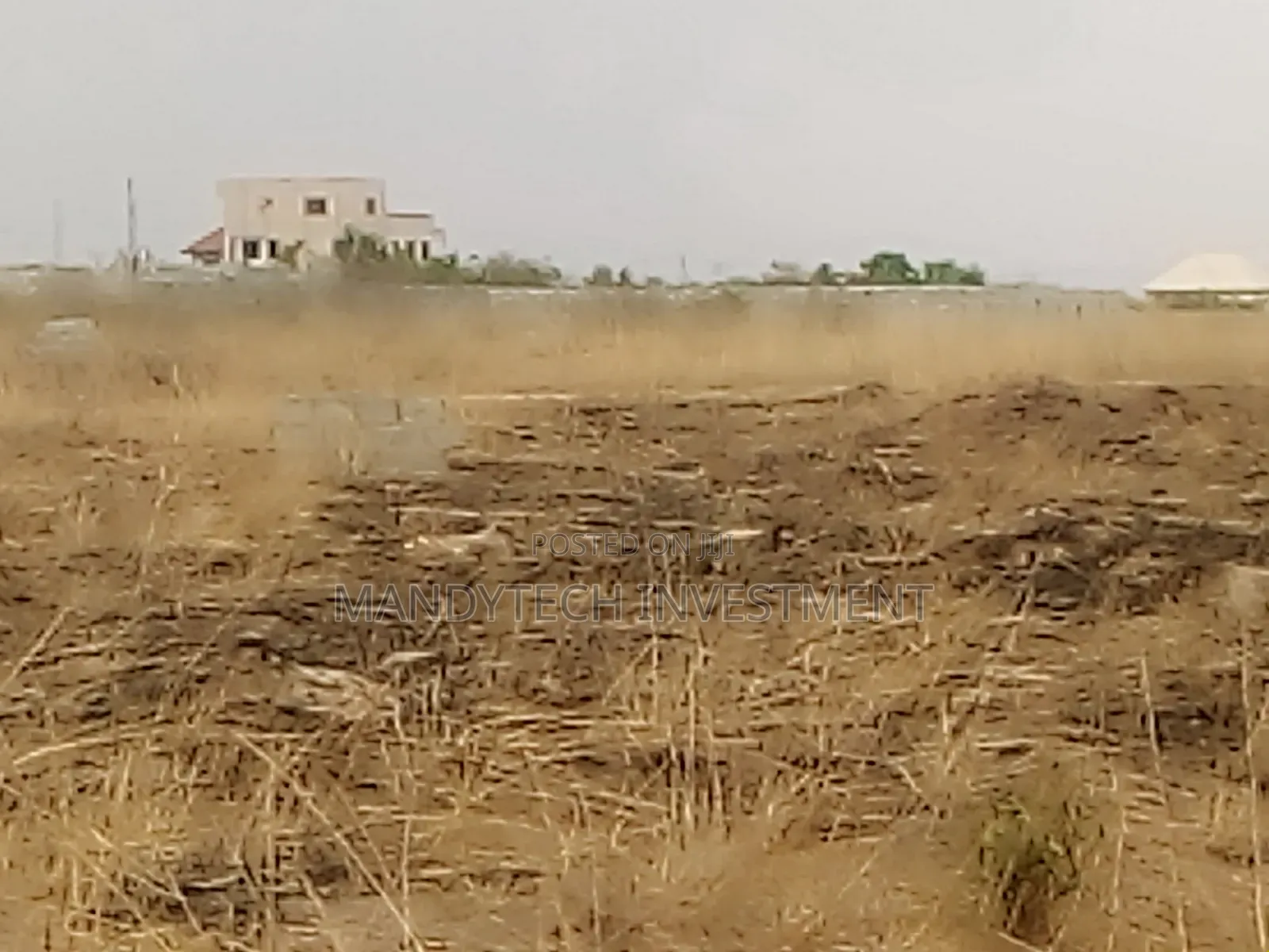 Two Plots at Appolonia