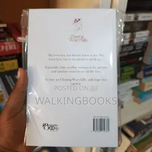 Chasing Waterfalls, African Novel