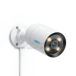 Reolink True Full-Color Night Vision Poe Camera
