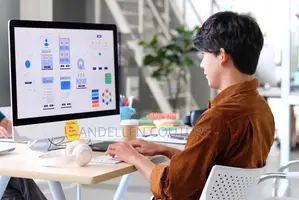 Professional Website Designer