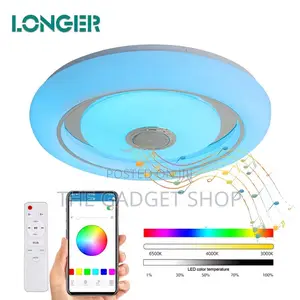 Ceiling Light With Speaker Remote/App Control