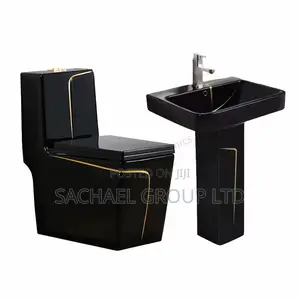 Vanity Water Closet With Pedestal