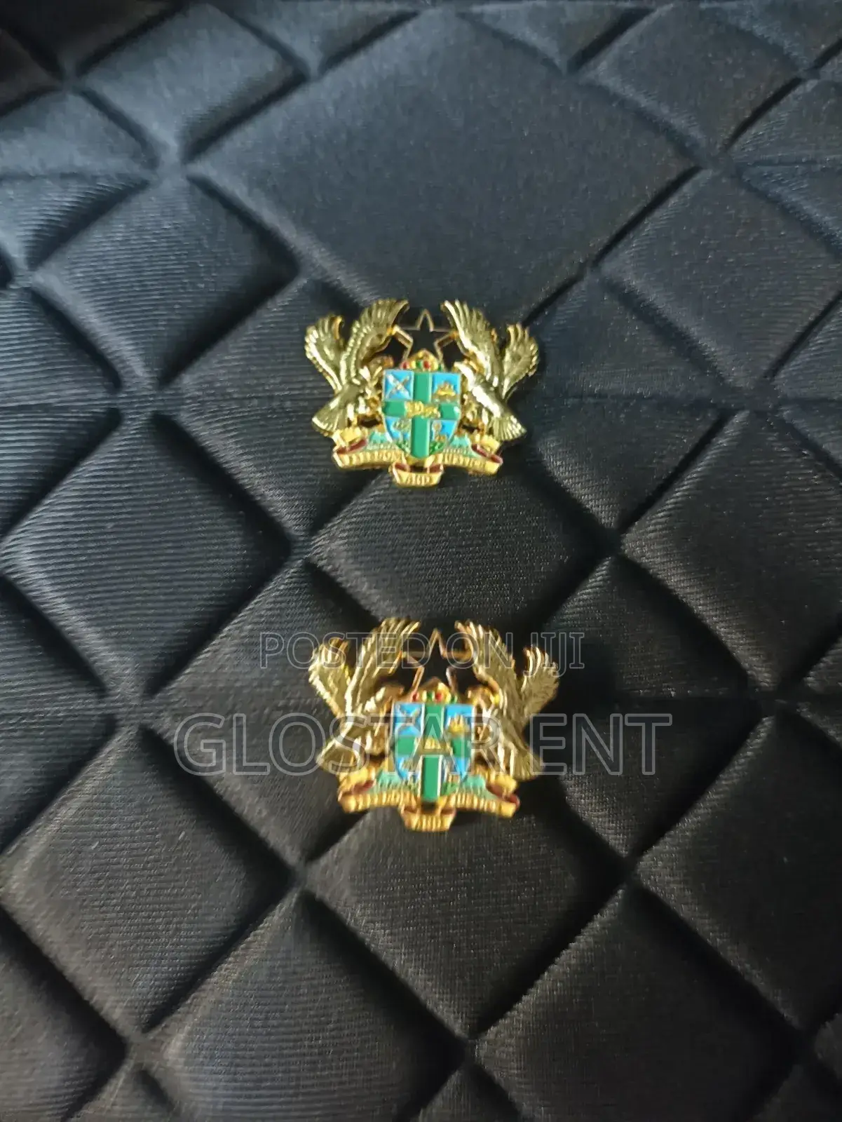 Coat of Arms/Lapel Pin