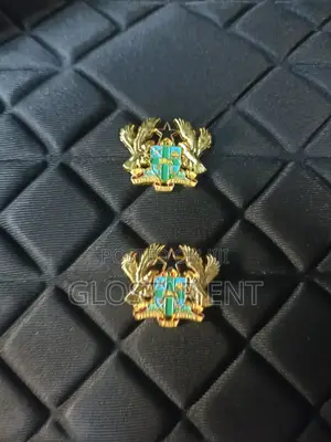 Coat of Arms/Lapel Pin