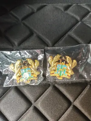 Coat of Arms/Lapel Pin