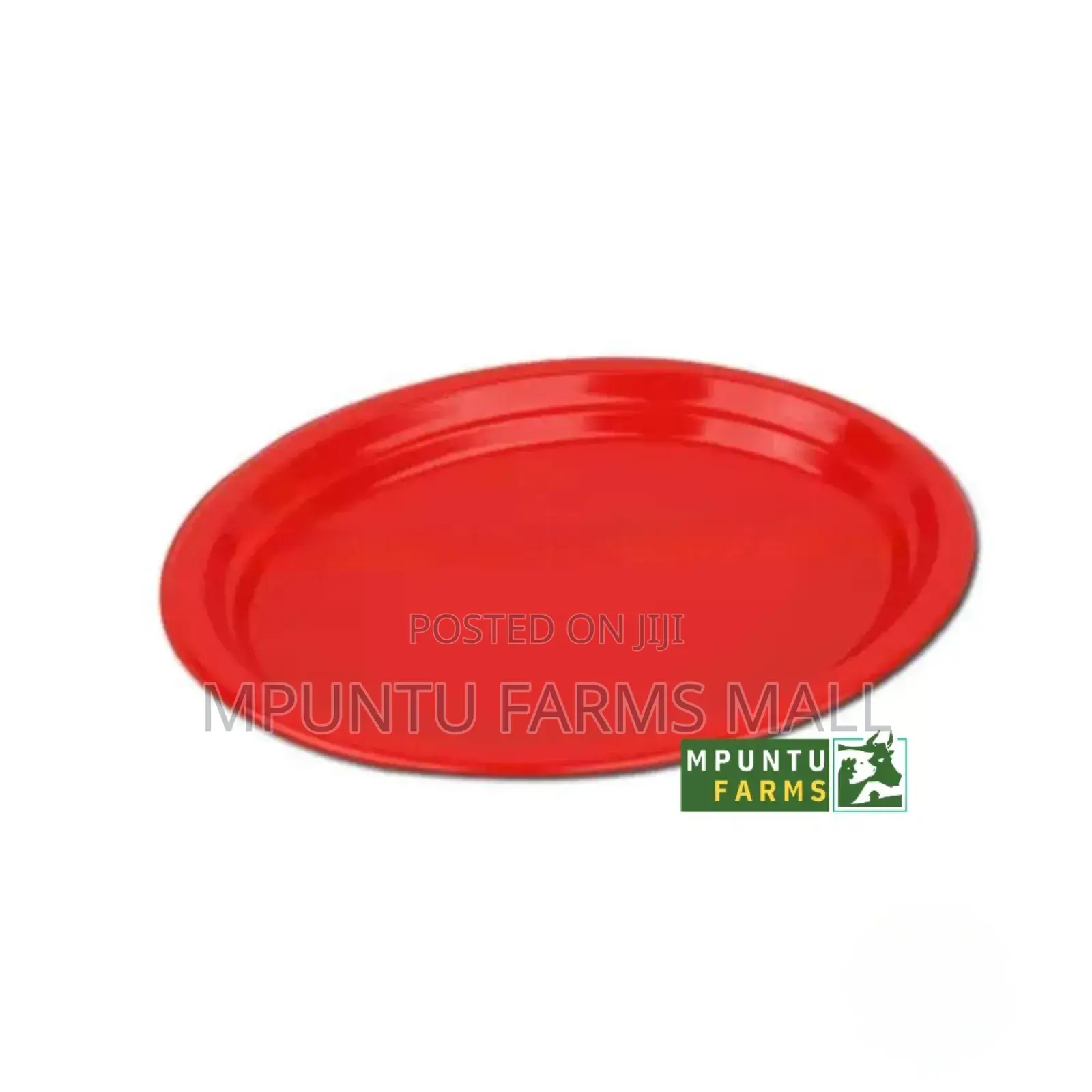 Chick Feeding Tray