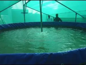 PVC Biofloc Mobile Fish Pond