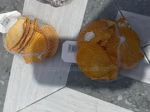 Shells for Aquarium