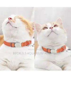 Dog and Cat Collars With Bells
