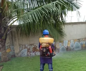 First Ghana Fumigation Service