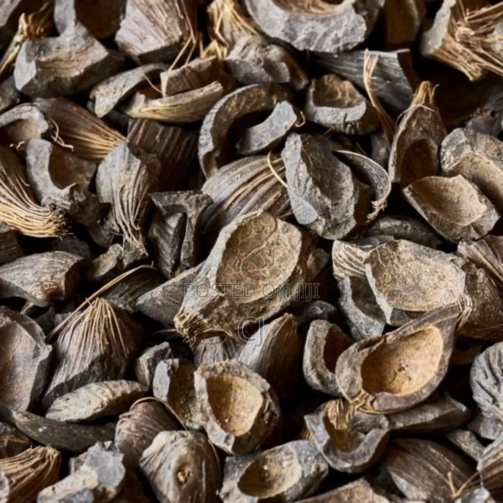 Palm Kernel Shells