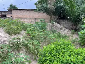 Half Plot of Land for Sale at Osu