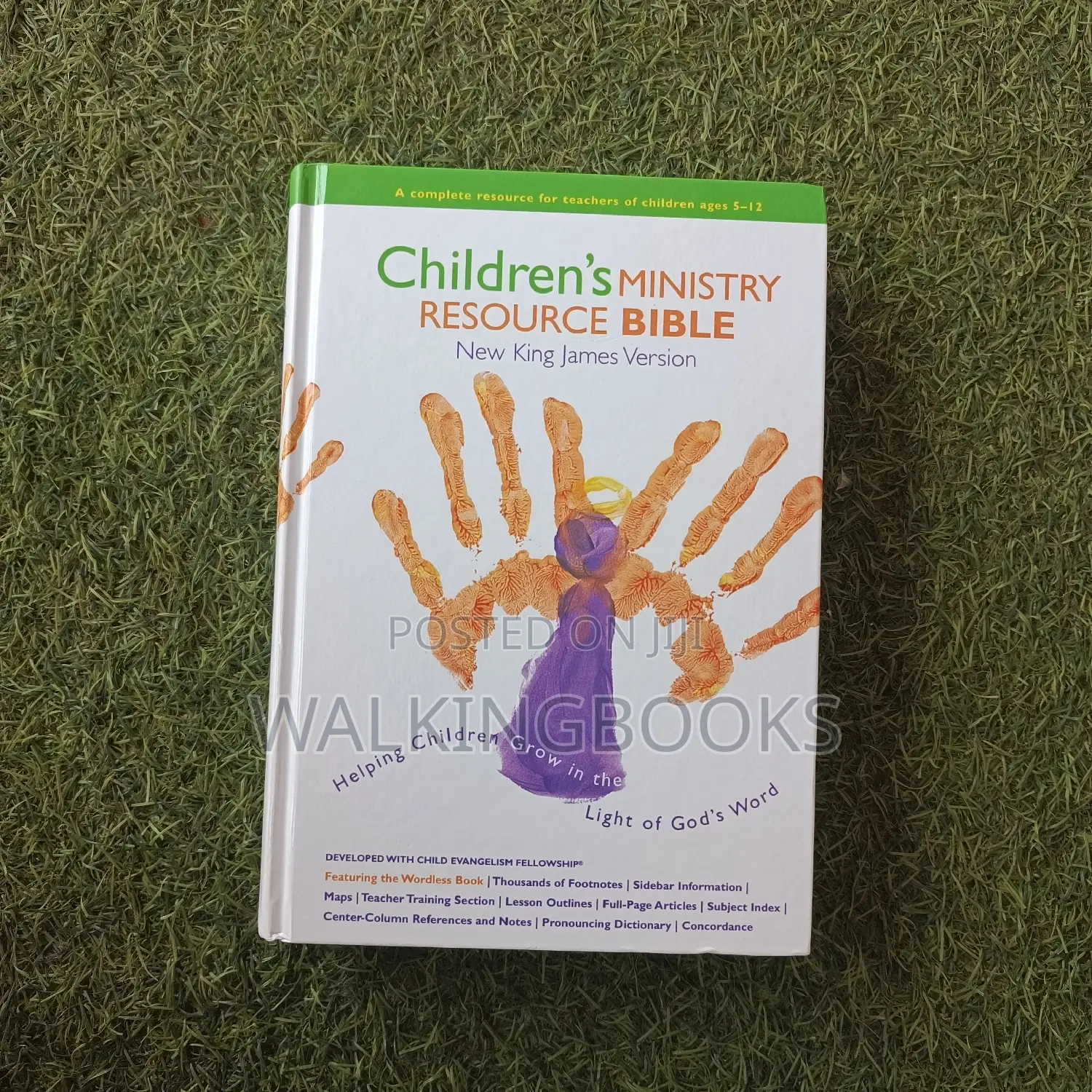 Children's Ministry Resource Bible