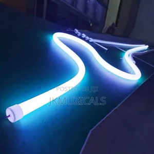 Neon Strip Light _ Waterproof _100m Full Coil