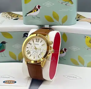 Fossil Watch