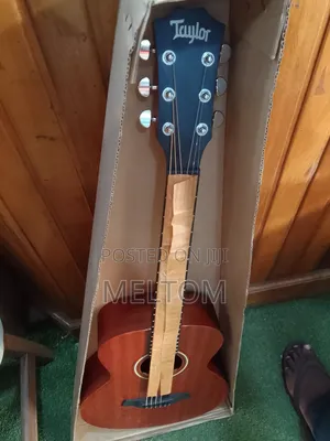 Taylor Acoustic Guitar