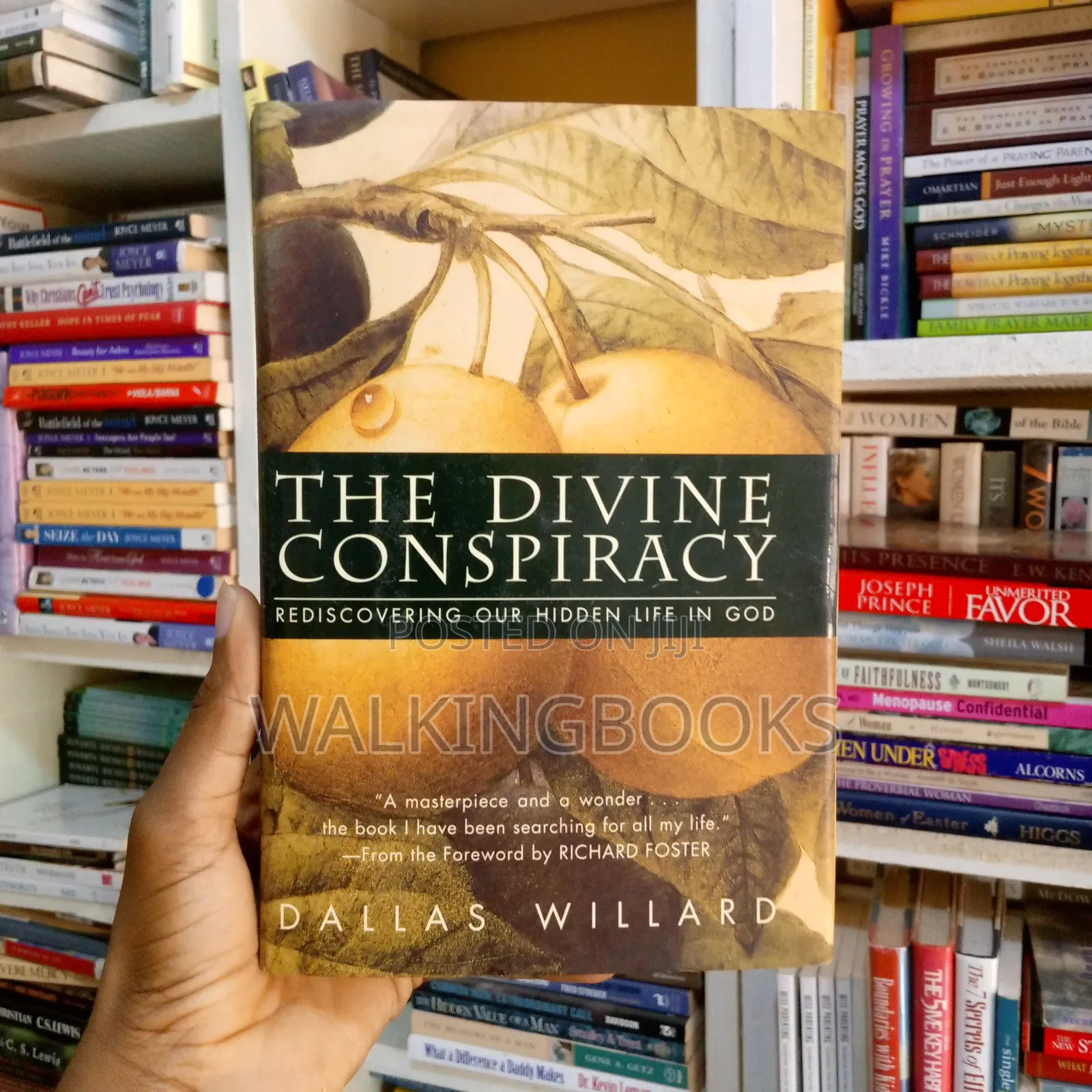 The Divine Conspiracy