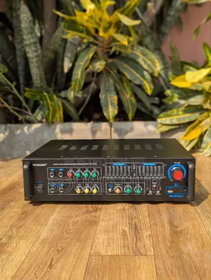 Professional Yagabo Karaoke Amplifier