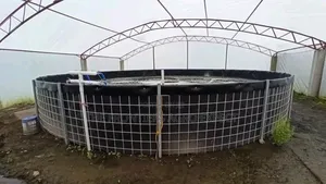 Tilapia PVC Biofloc Pond