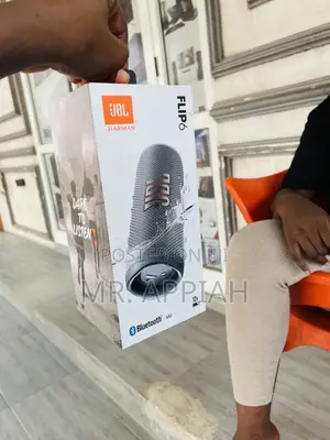Lovely Design JBL Flip 6 Wireless Speaker(Gray)