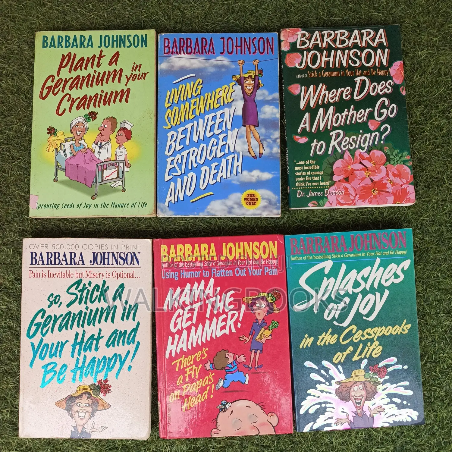 Barbara Johnson Series