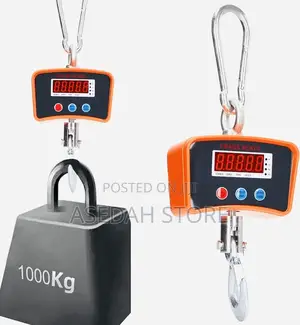 Commercial Crane Scale 1000kg