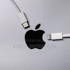 Original iPhone Charger Type C