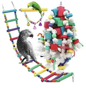 Parrot Play Toys
