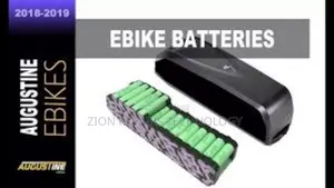 E-Bike Battery Service