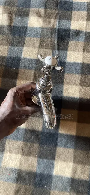 Vintage Single Basin Sink Faucet