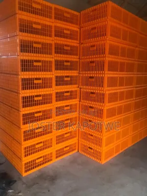 Poultry Equipment Battery Layers Cage