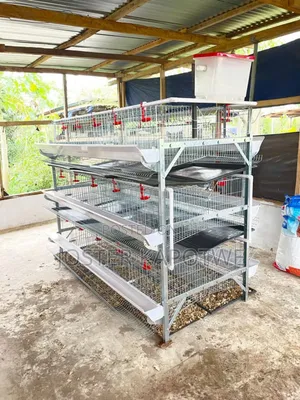Poultry Equipment Battery Layers Cage