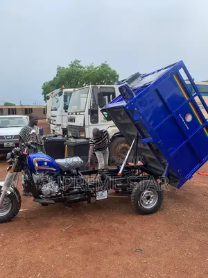 New Tricycle 2024 Blue