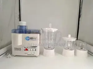 4 in 1 Juicer Blender Mixer and Grinder