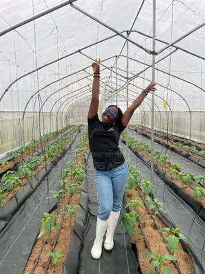 Commercial Greenhouse Farm